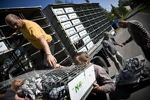 Transport gołebi pocztowych